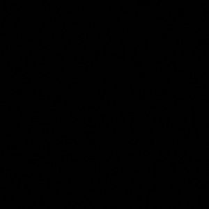 Meet your Posher, Corey